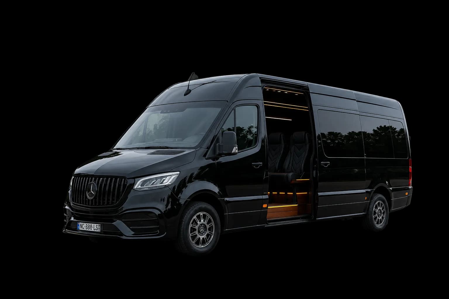 GeorgiaTrips Transport 4