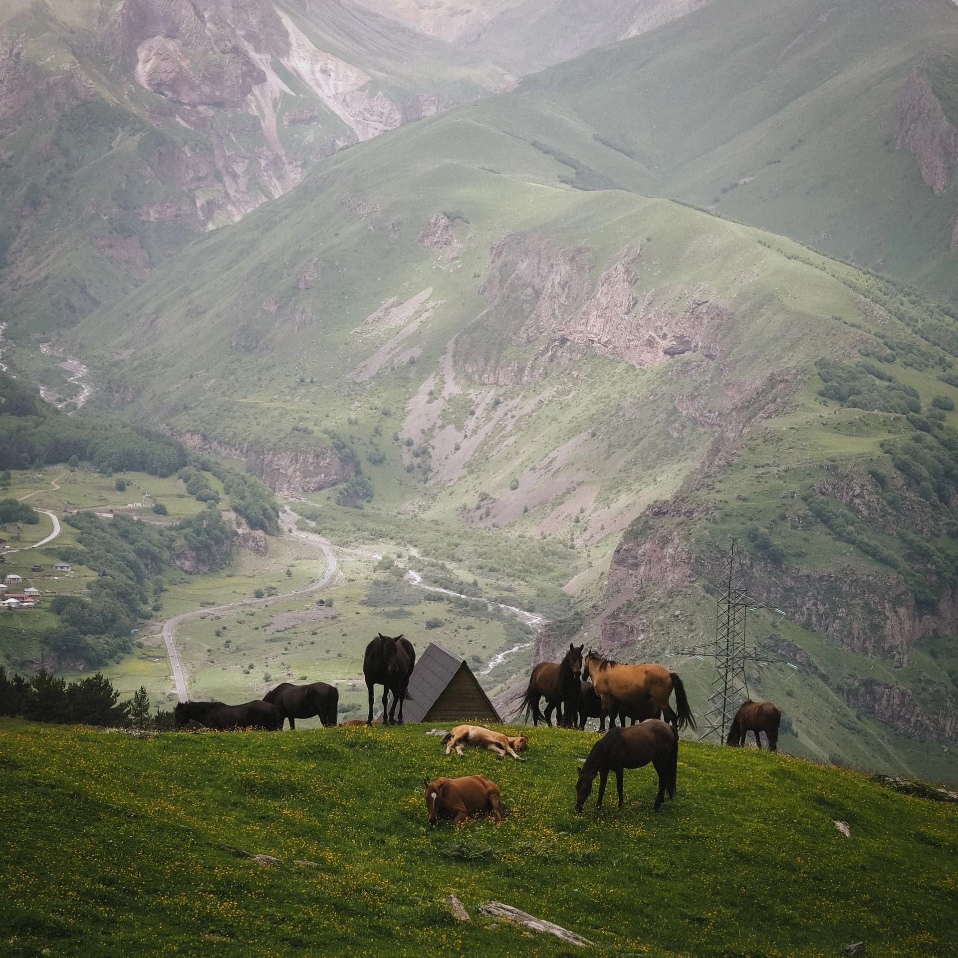 Kazbegi 3