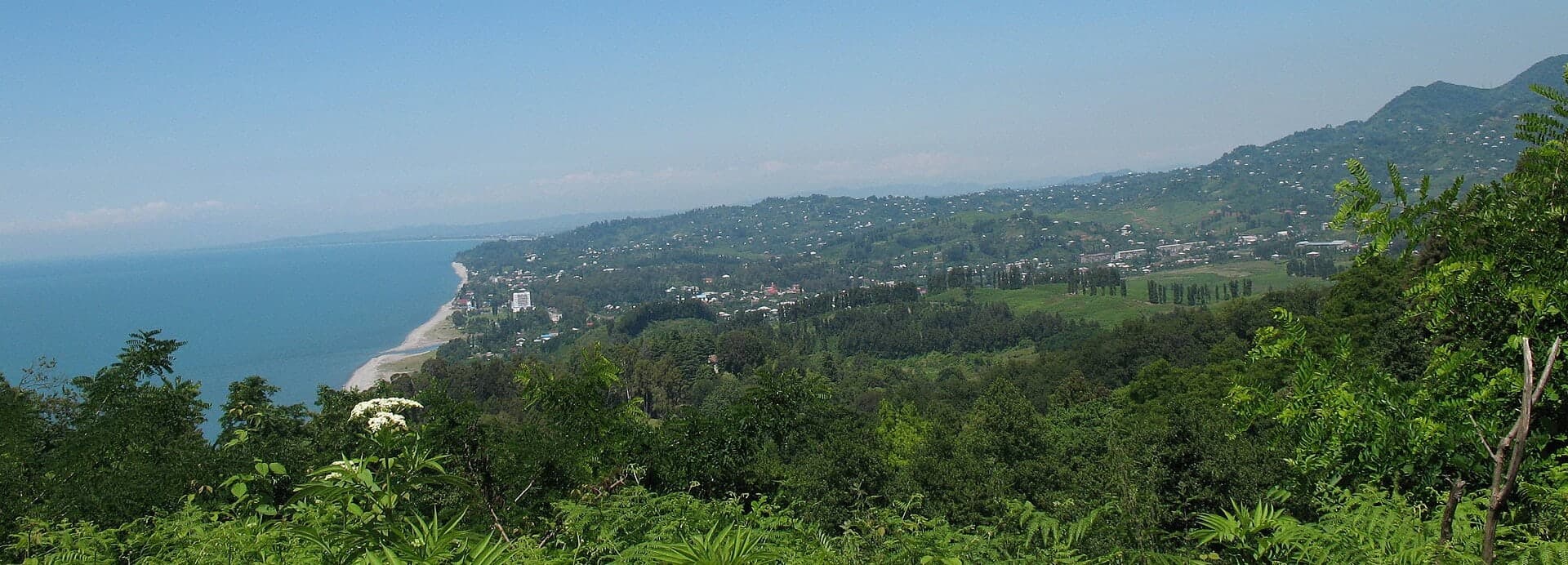 Chakvi 1