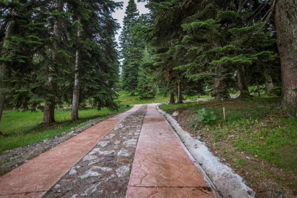 حديقة غوديردزي النباتية الألبية 2