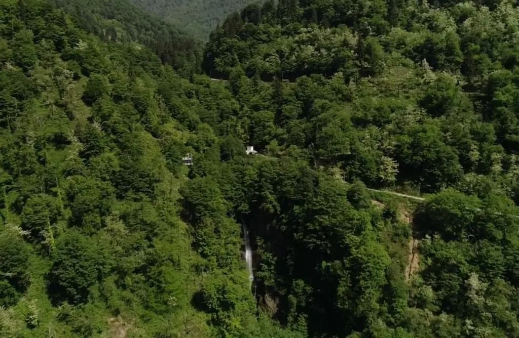 Makhuntseti Zipline 2