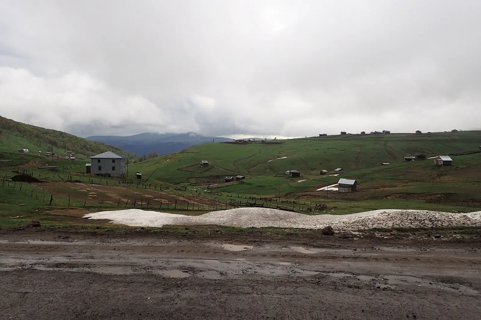 Goderdzi Geçidi'nin çayırları